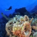 numidia_bro_b_v_0272_egy0634.jpg